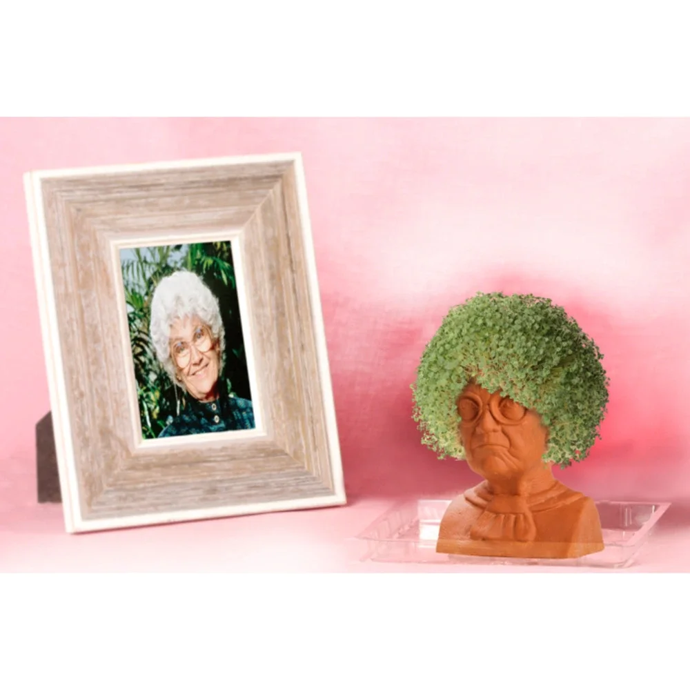 Chia Pet Golden Girls SOPHIA Decorative Planter Handmade Pottery Easy Grow NIB!!